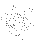 散開星団（M36）